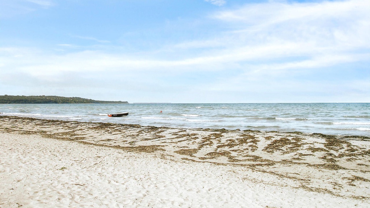 Photo of Others in Hoeve Strand