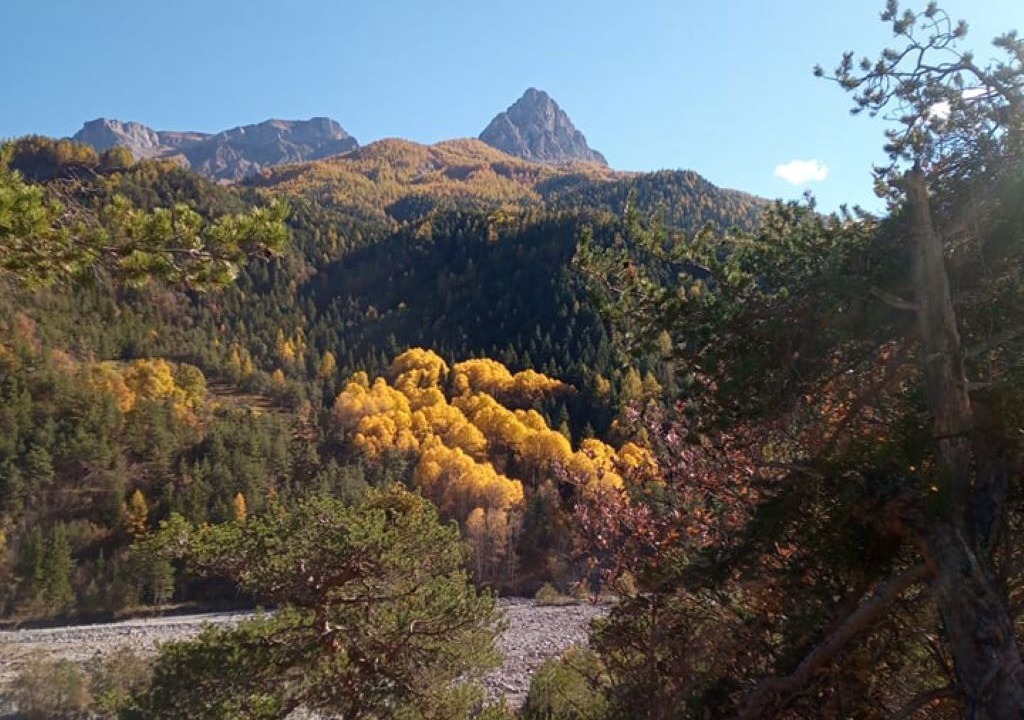 Photo of Outdoor in Barcelonnette