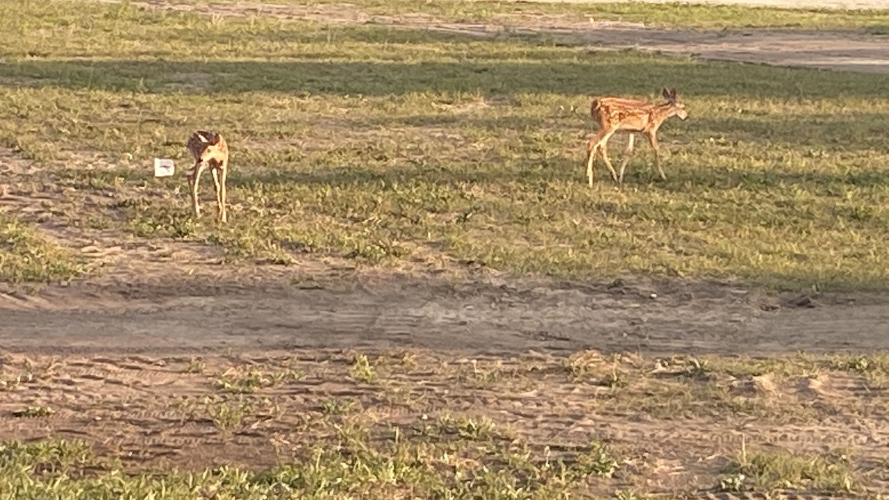 Photo of Others in Columbia Falls