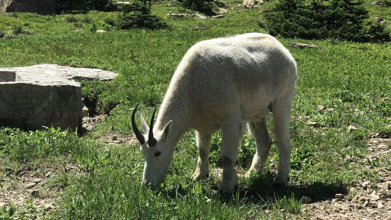 Photo of Outdoor in Columbia Falls