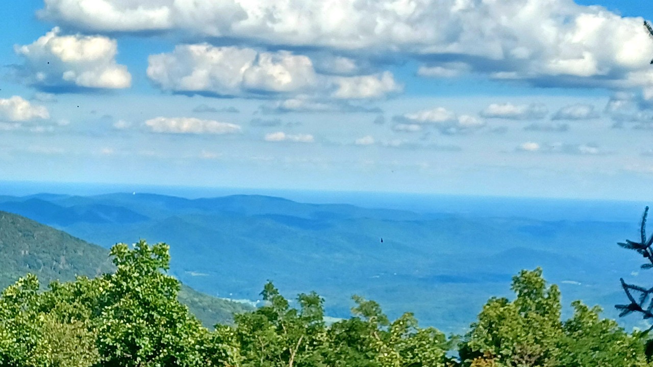 Photo of Others in Chestnut Springs