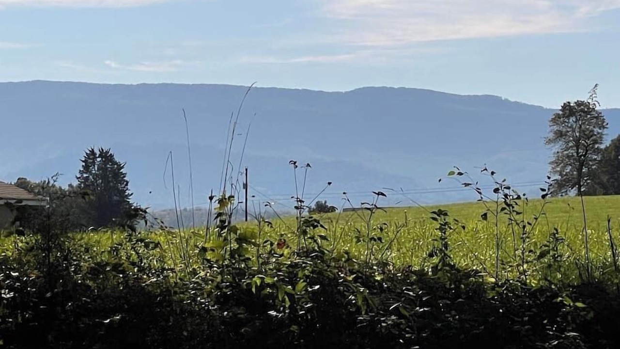 Photo of Outdoor in Seymour