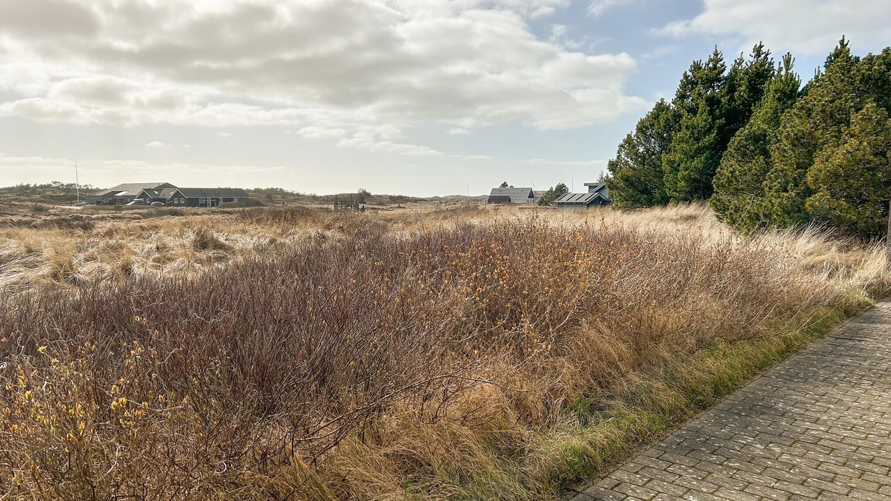 Photo of Others in Vorupør