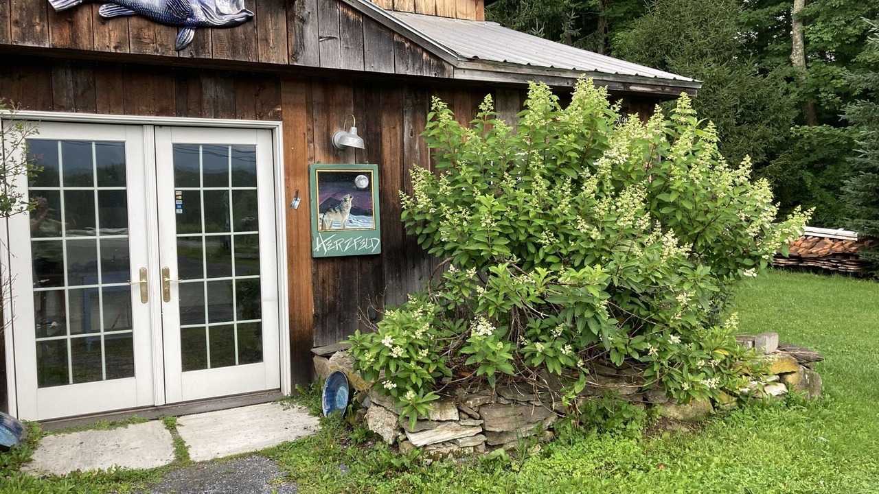 Photo of Outdoor in Shaftsbury