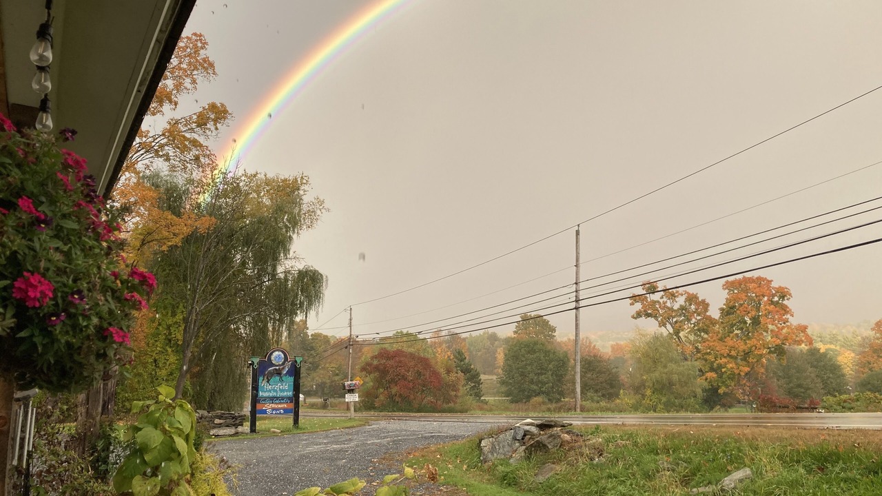 Photo of Others in Shaftsbury