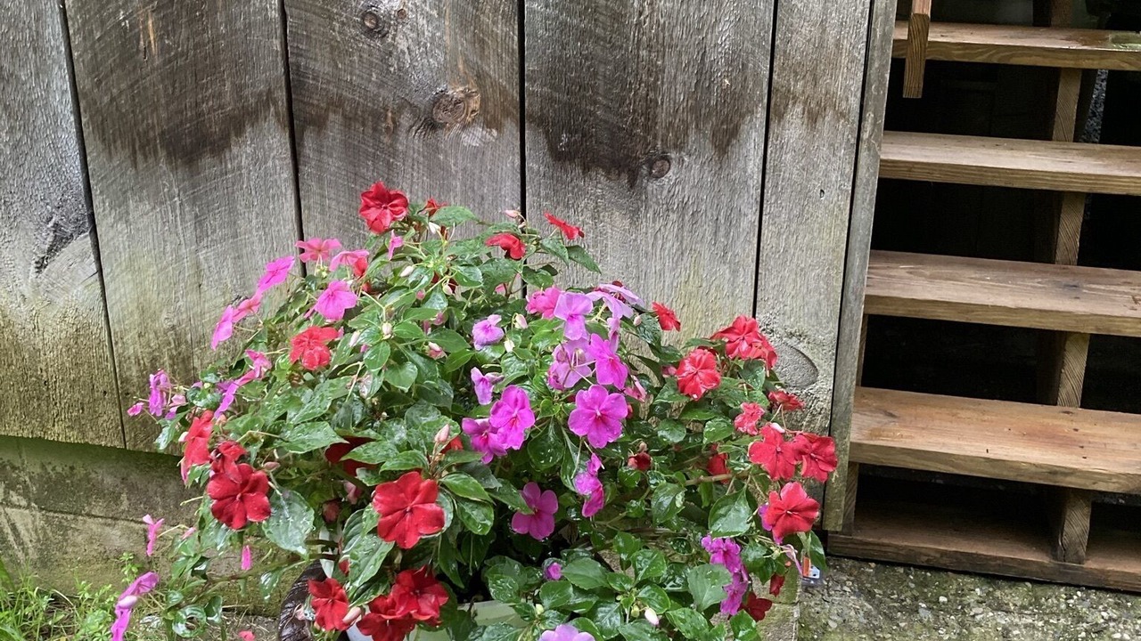 Photo of Outdoor in Shaftsbury