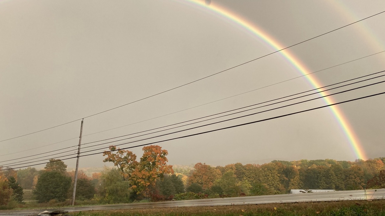Photo of Others in Shaftsbury