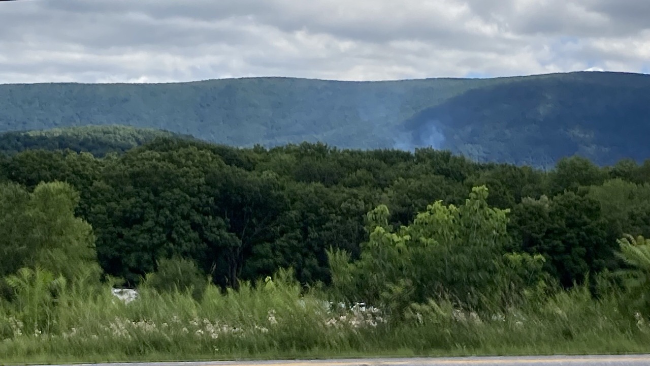 Photo of Others in Shaftsbury