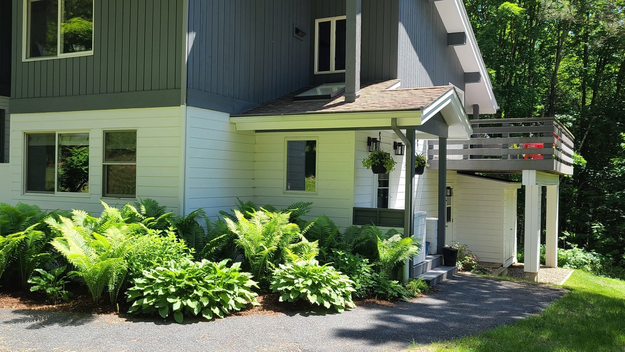 Photo of Outdoor in Stowe Area