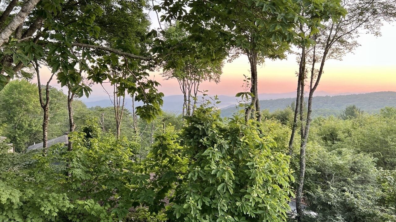 Photo of Outdoor in Beech Mountain