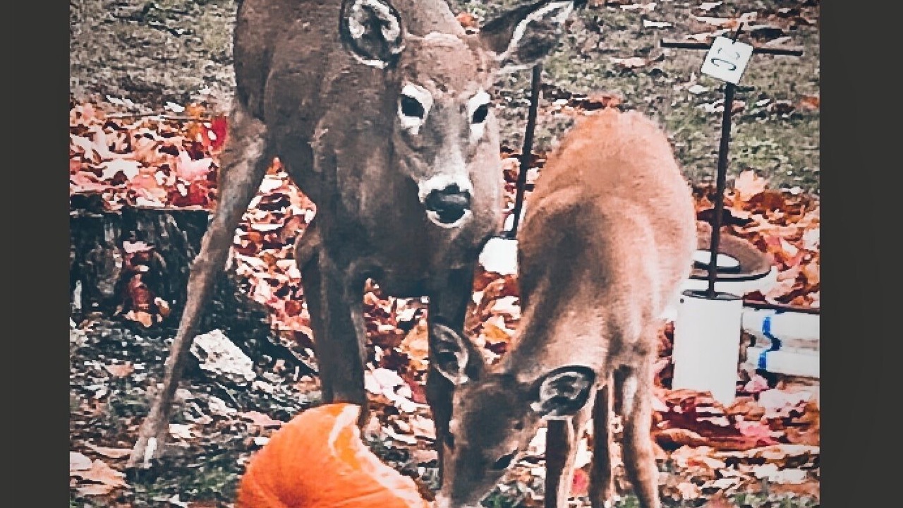 Photo of Others in Beech Mountain