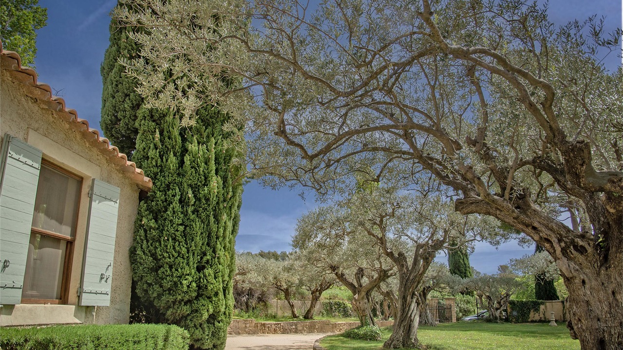 Photo of Outdoor in Beaumes-de-Venise