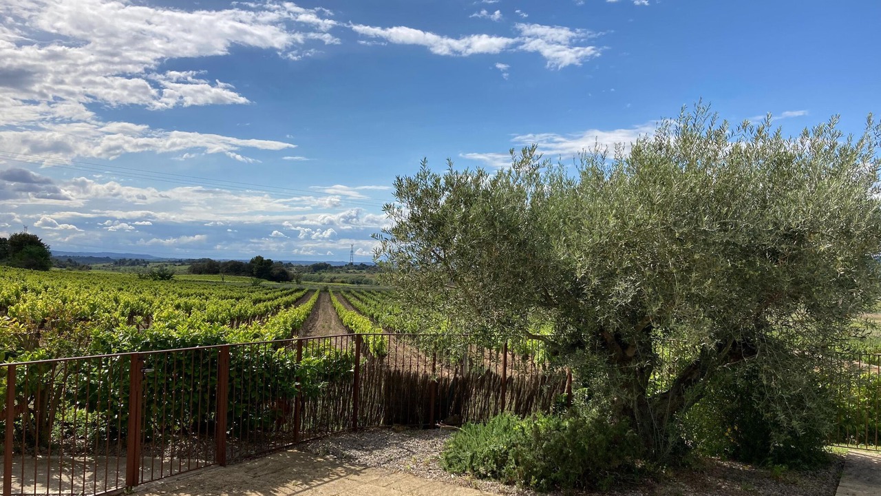 Photo of Others in Montbrun-des-Corbieres