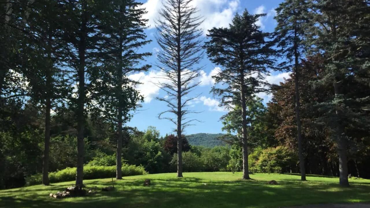 Photo of Outdoor in Franklin