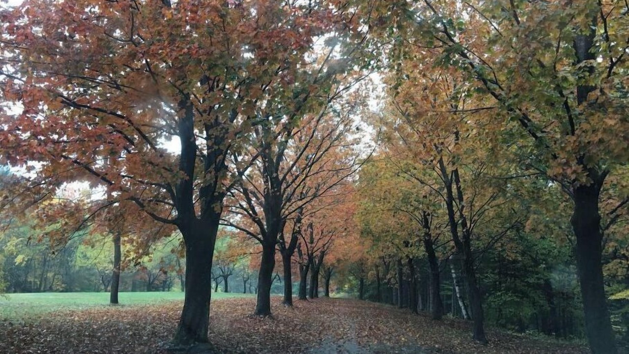 Photo of Others in Franklin