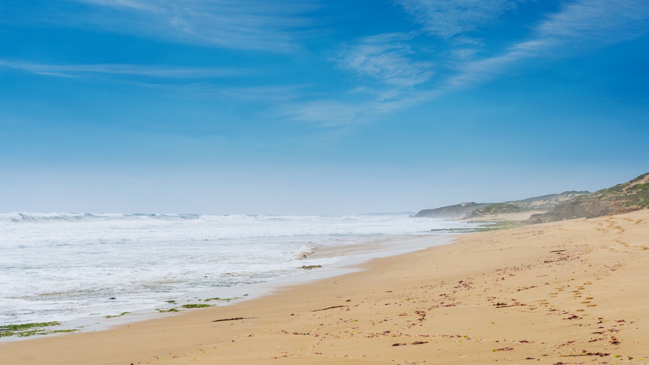 Photo of Others in St. Andrews Beach