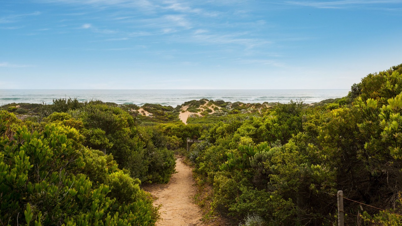 Photo of Others in St. Andrews Beach