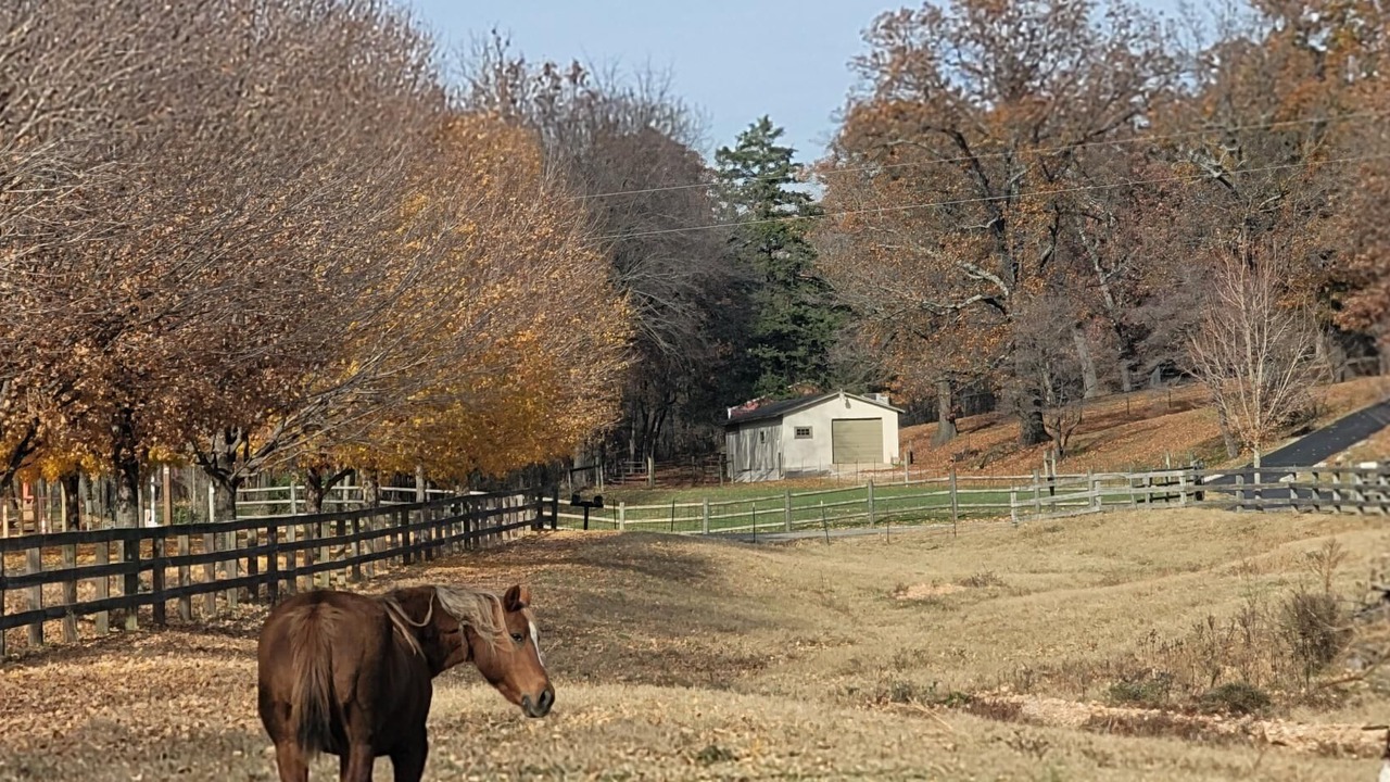 Photo of Outdoor in Benton County