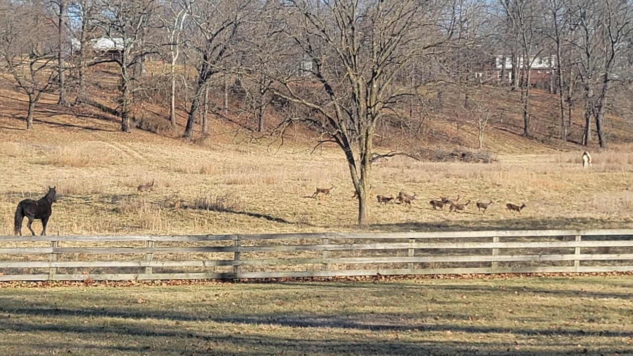 Photo of Outdoor in Benton County