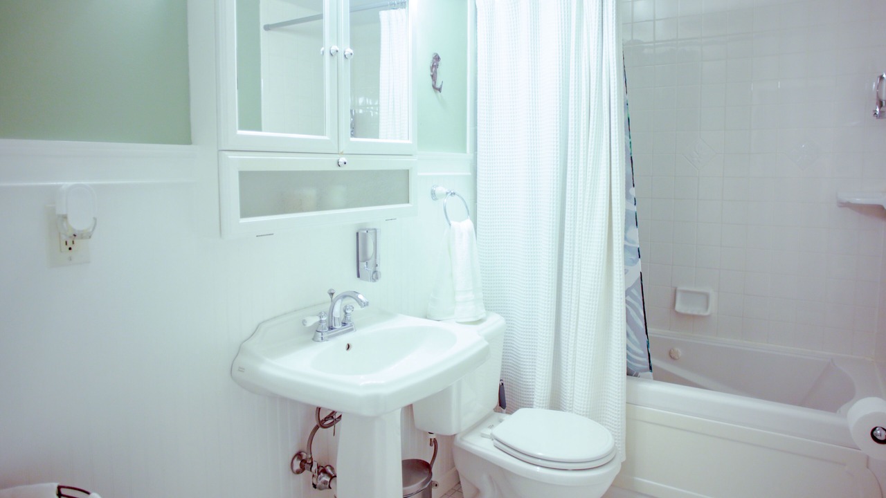 Photo of Bathroom in South Seminole Heights