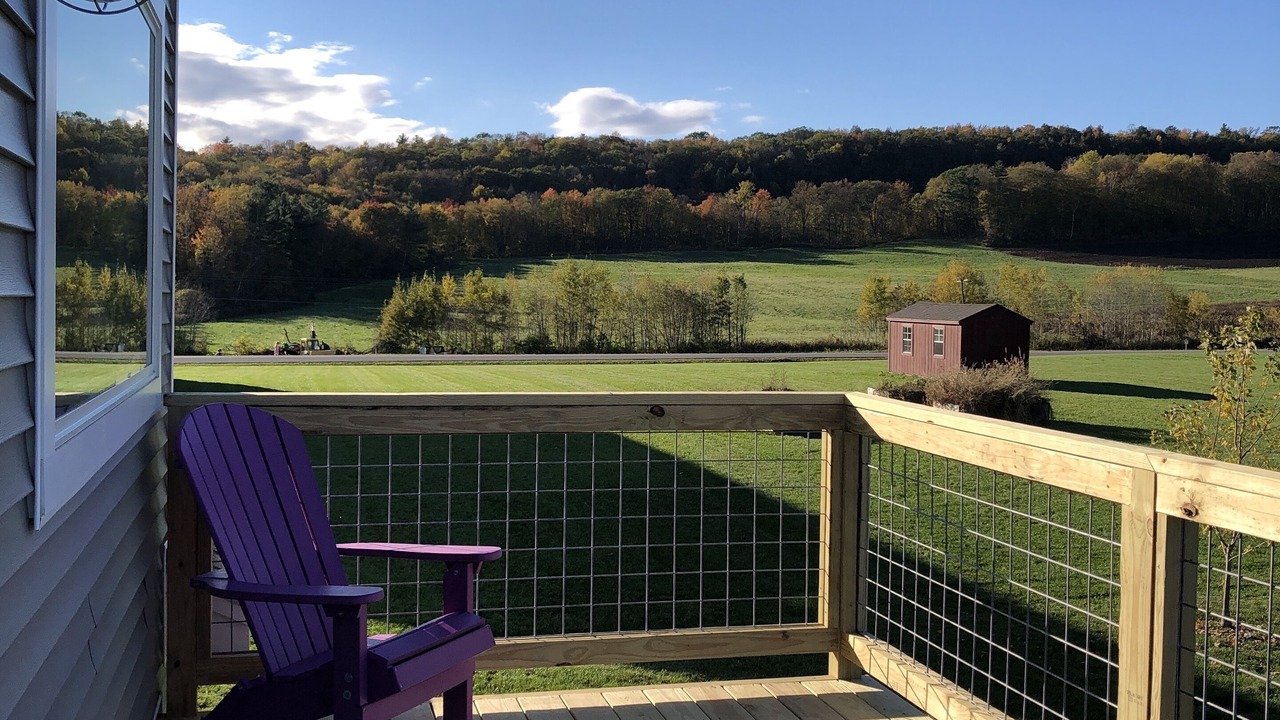 Photo of Patio Balcony in Bristol