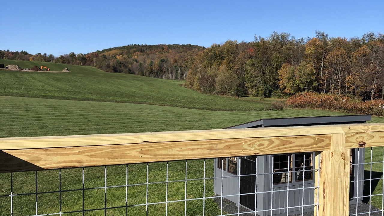 Photo of Outdoor in Bristol