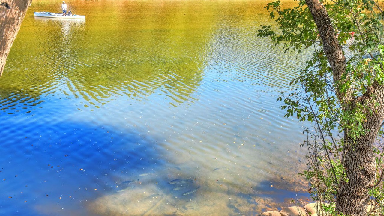 Photo of Others in China Spring