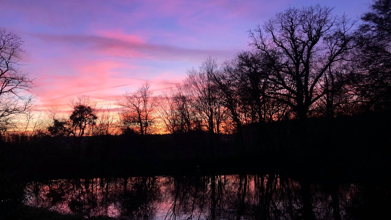 Photo of Others in Beauchamps-sur-Huillard
