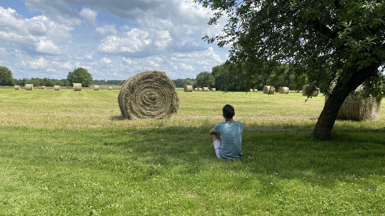 Photo of Others in Beauchamps-sur-Huillard