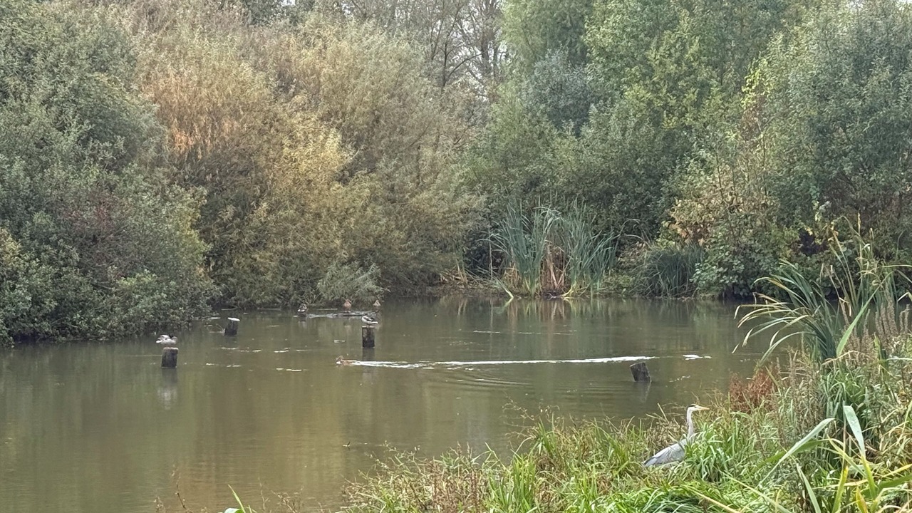 Photo of Others in Comines
