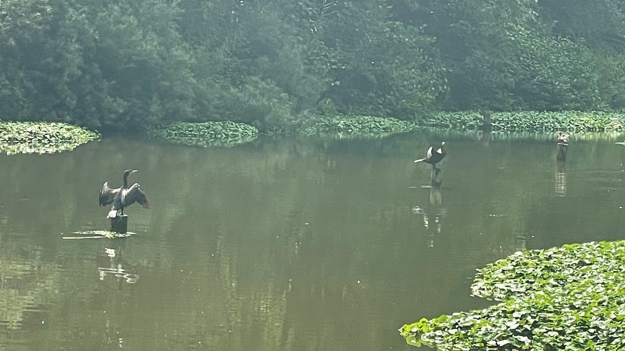 Photo of Outdoor in Comines