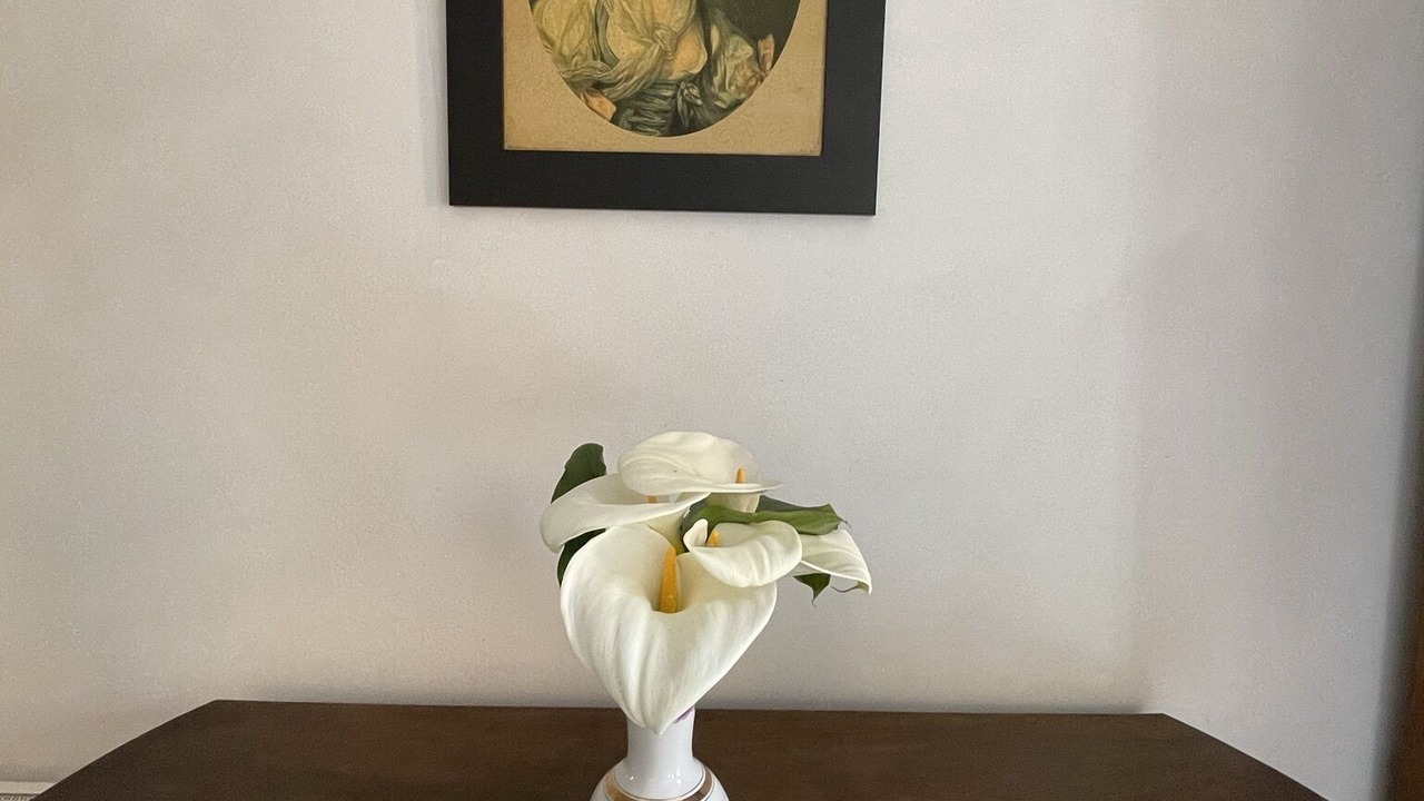 Photo of Others in Saint-Etienne-de-Baigorry