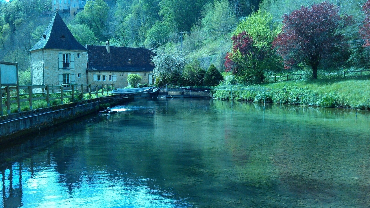 Photo of Others in Castels et Bezenac