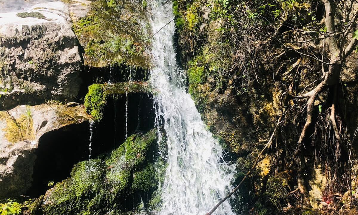 Photo of Outdoor in Arphy