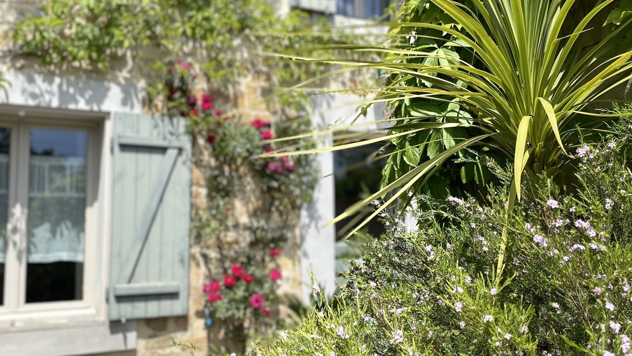 Photo of Outdoor in Servies-en-Val