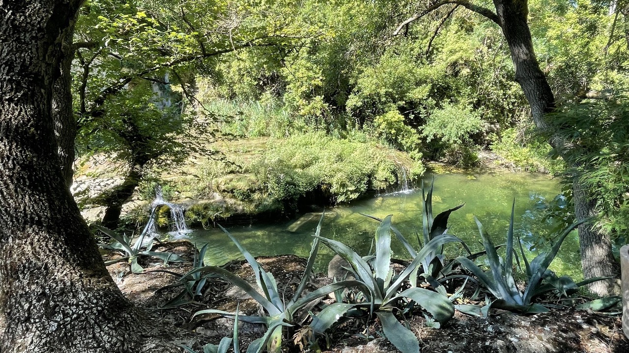 Photo of Outdoor in Servies-en-Val