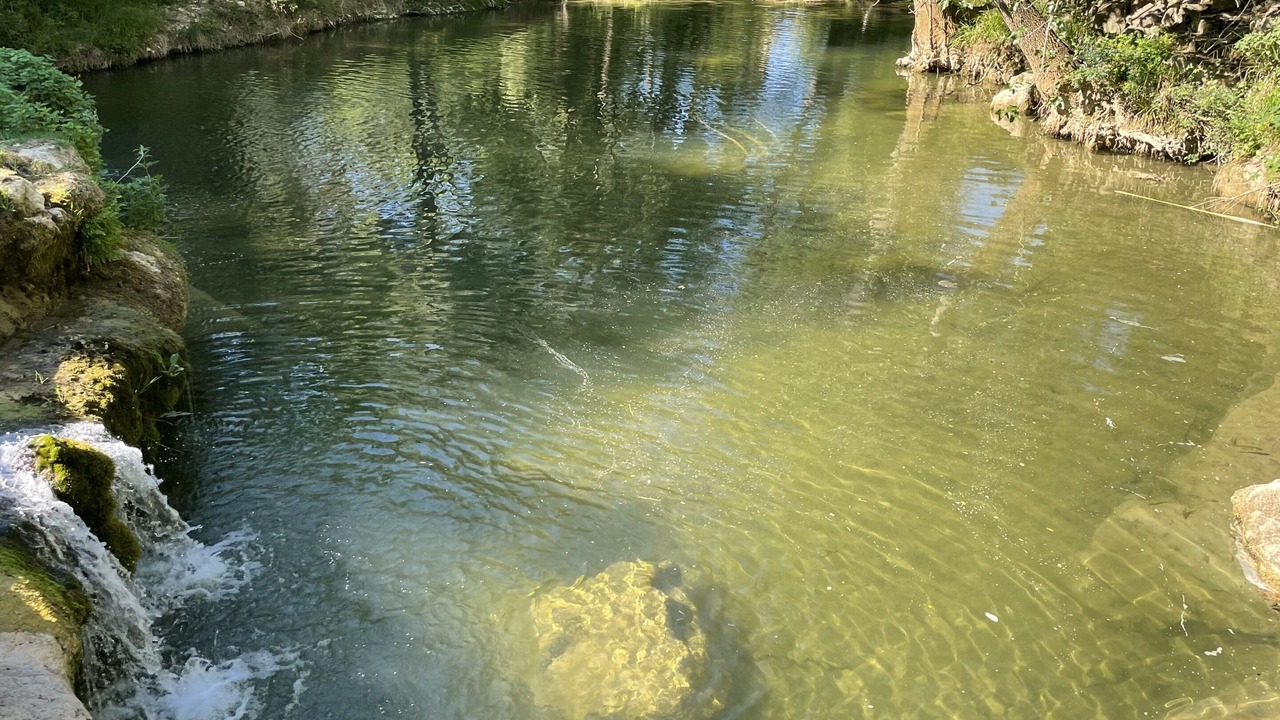 Photo of Outdoor in Servies-en-Val