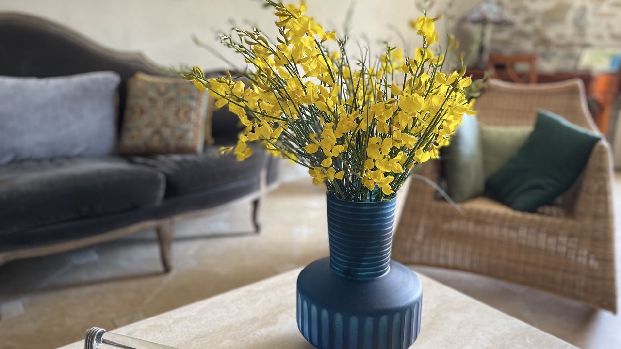 Photo of Livingroom in Servies-en-Val