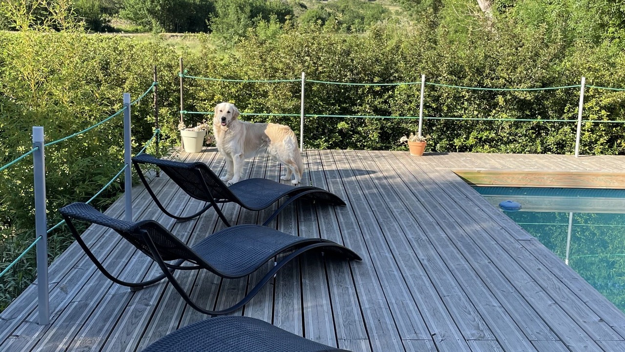 Photo of Outdoor in Servies-en-Val