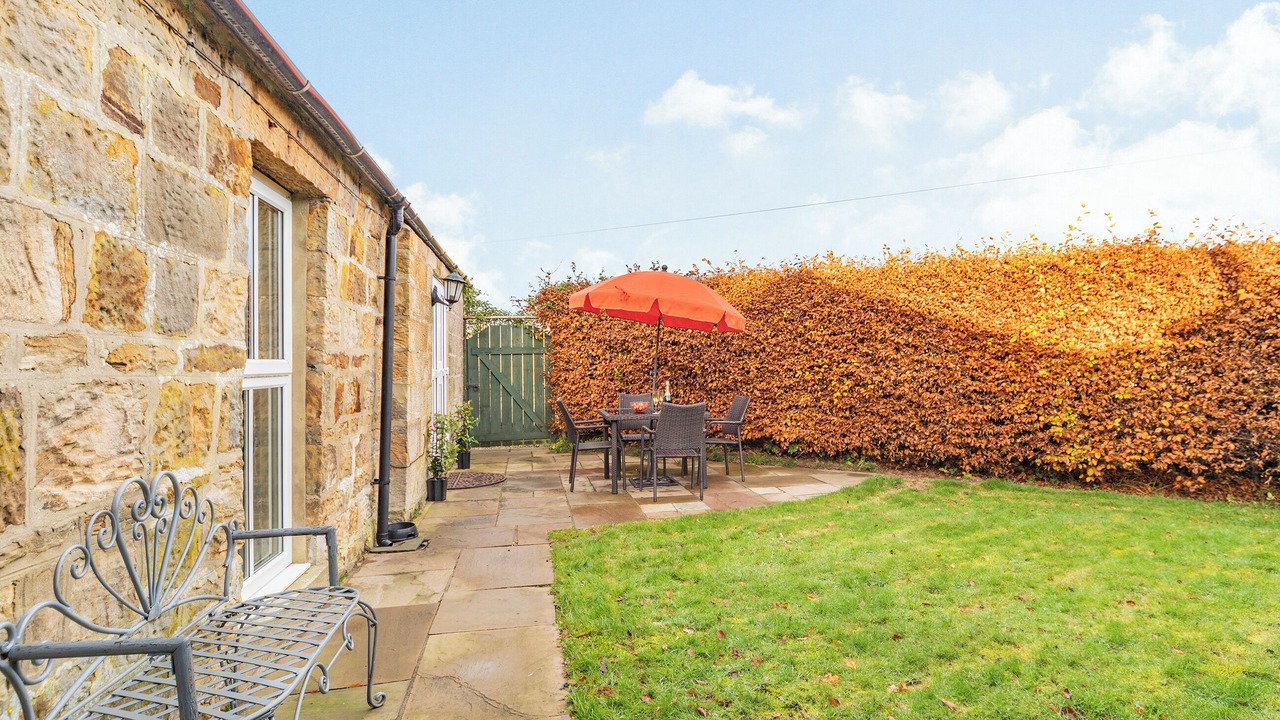 Photo of Outdoor in Felton