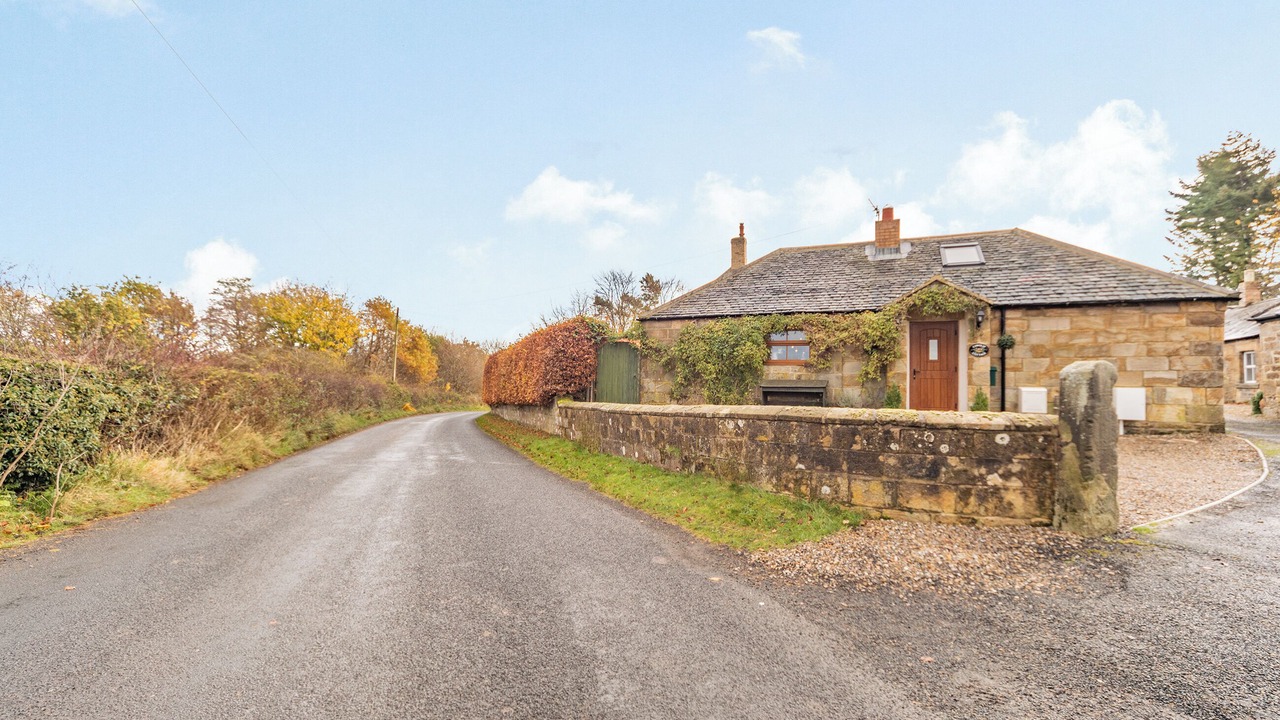 Photo of Outdoor in Felton