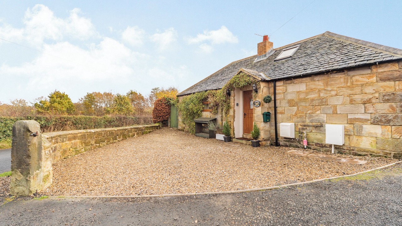 Photo of Outdoor in Felton