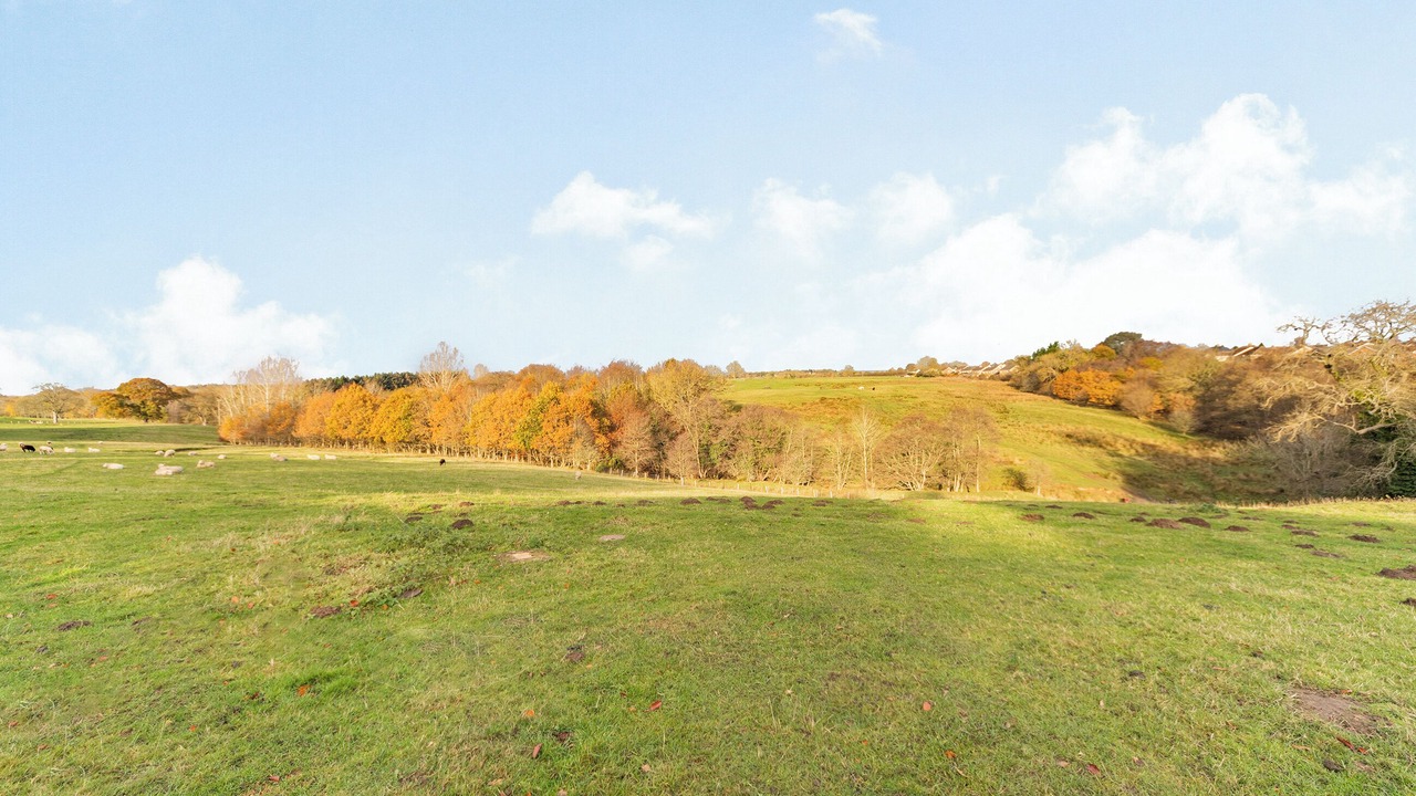 Photo of Others in Felton