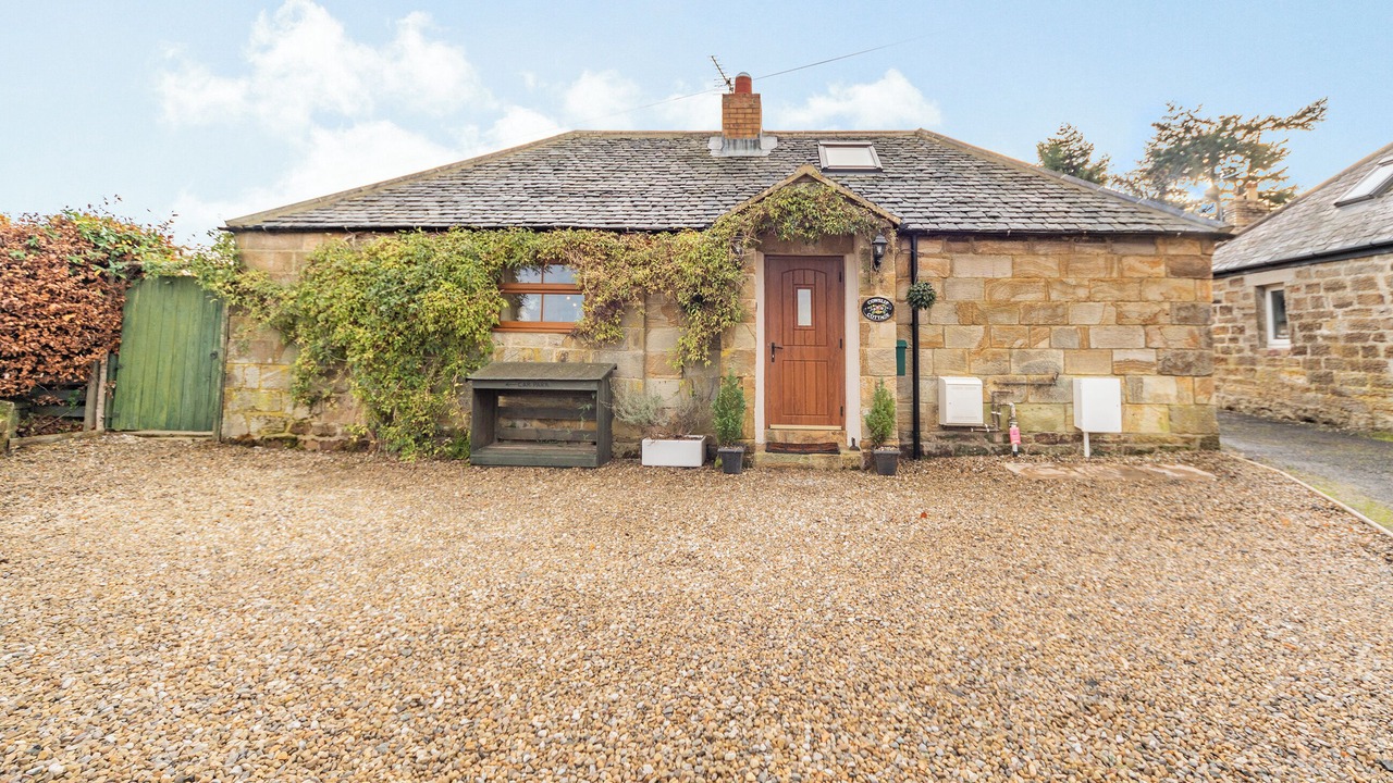 Photo of Outdoor in Felton