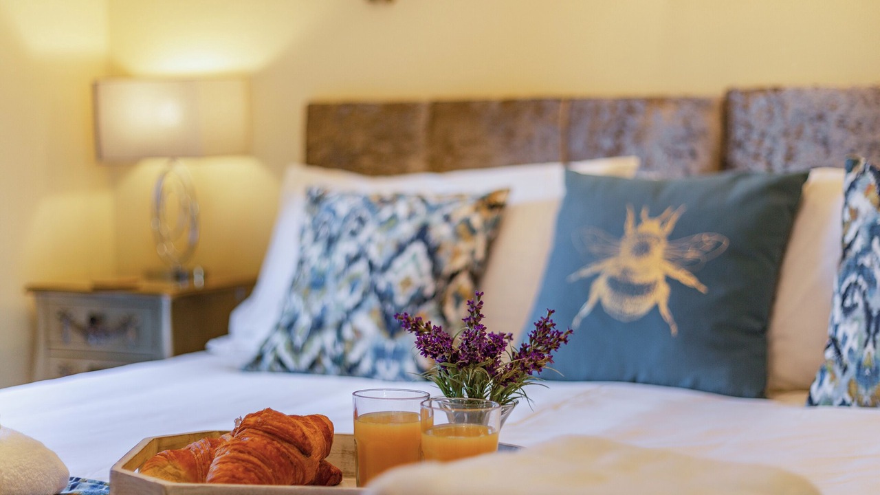 Photo of Others in Felton