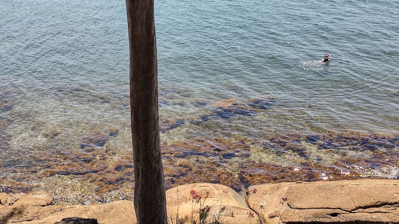 Photo of Outdoor in Wangi Wangi