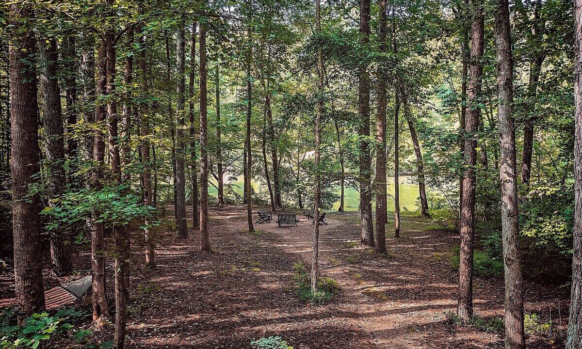 Photo of Outdoor in Benton