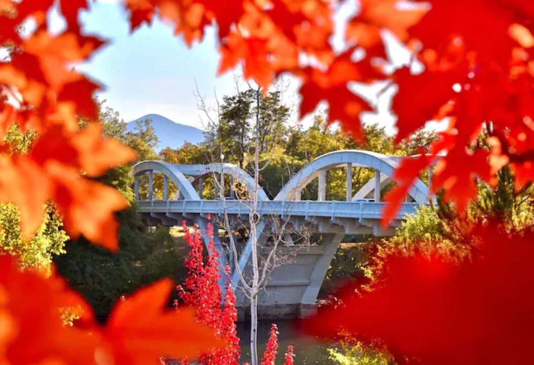 Photo of Others in Grants Pass