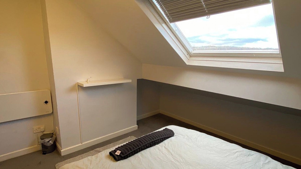 Photo of Others in Sheffield