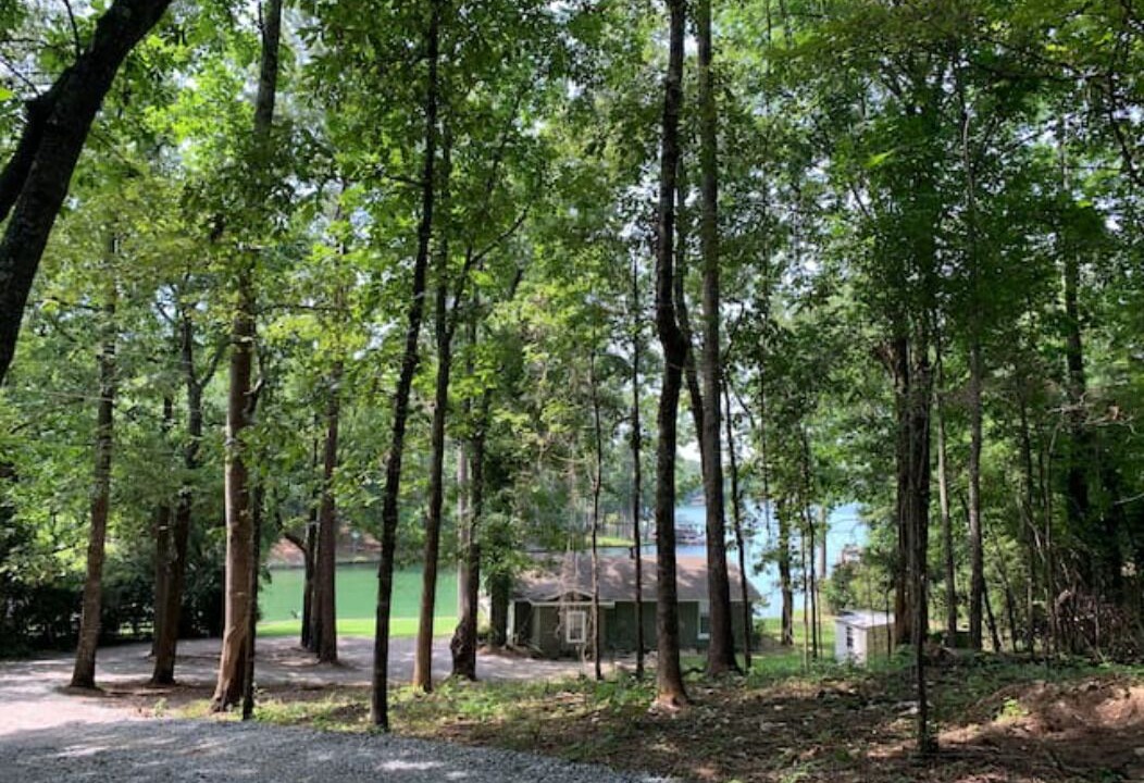 Photo of Outdoor in Eclectic
